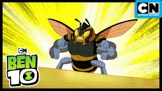 Ben Fights A Huge Bee! | Ben 10 | Cartoon Network