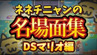 【忙しいあなたへ】これだけ見てほしいネネチニャン名場面まとめ【DSマリオ編】【ネネチニャン切り抜き】