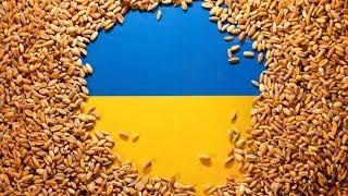  Live: EU says Poland, Hungary bans on Ukraine grain 'unacceptable' • FRANCE 24 English