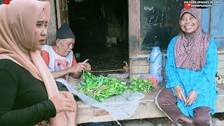 Petualangan Janda Cantik Kembang Desa Di Kampung Cikoja Sukabumi Jawabarat