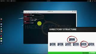 007 Kali Linux для начинающих  Перемещение по папкам