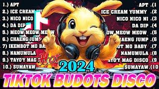 NEW TIKTOK BUDOTS DISCO PARTY 2024 - DISCO REMIX 2024 NONSTOP NEW SONGS