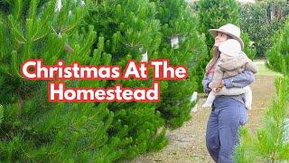 HOMESTEAD CHRISTMAS SPECIAL 