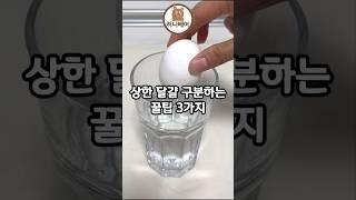 상한 달걀 구분하는 꿀팁 3가지