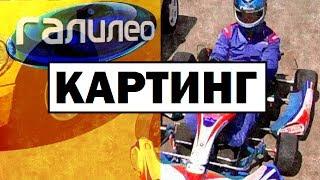 Галилео. Картинг  Carting