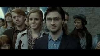 harry potter: we are family