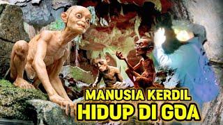 Viral !! Hendak Cari Kayu Dihutan Warga Temukan Persembunyian Suku Mante Manusia Kerdil Didalam Goa