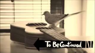 bird playing guitar to be continued jojo meme