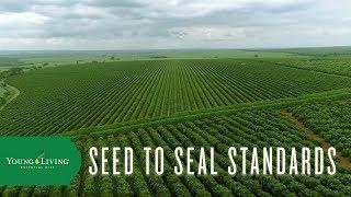 Seed to Seal Standards – What Sets Us Apart