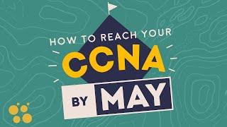 How to Pass the CCNA 200-301 Exam in 5 Months