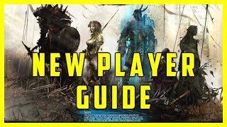 Guild Wars 2 New Player Guide 2017