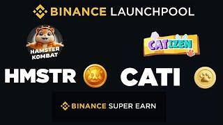 HMSTER & CATI Tokens  Launch Pool On Binance | Earn More Tokens With Zero Efforts