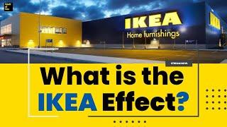 What is the IKEA Effect ? | Story behind Ikea |  Vault Of Vox