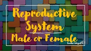 REPRODUCTIVE SYSTEM ACTIVITY #k12curriculum #melc #scienceactivity #science #sciencegradefive