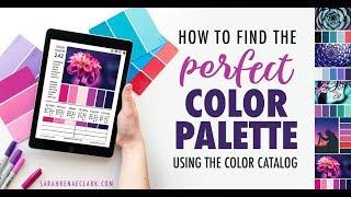 How to Find the Perfect Color Palette Using The Color Catalog