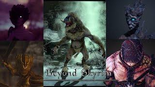 Beyond Skyrim Enemies Showcase