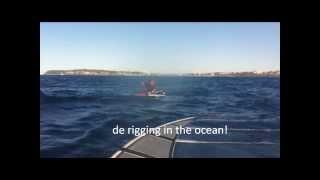 windsurfing rescue with whales