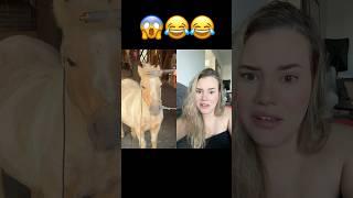 #funny #shortvideo #viralvideo #trend