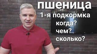 Анонс видео 24.02.22 ОЗИМАЯ ПШЕНИЦА- 1-я  ранневесенняя подкормка: когда,чем, сколько.