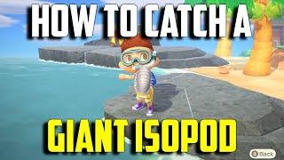 How to Catch a Giant Isopod | Giant Isopod Animal Crossing New Horizons | Giant Isopod ACNH