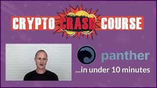 Panther Protocol, what you NEED to Know In 10 Minutes | Crypto Crash Course