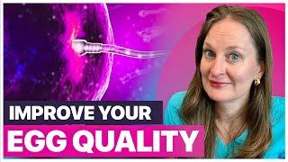 How to Improve Egg Quality: Top 5 Tips to Boost Fertility & Prevent Miscarriage
