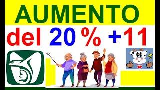 AUMENTO 20% + 11 PENSIONADOS IMSS LEY 1973 NUEVA PENSION MINIMA GARANTIZADA 2023 #vaquitapolitica