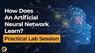 How does An Artificial Neural Network Learn | Practical Session | Eduonix