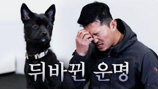 "오늘 안 만났으면 1년 뒤에 개훌륭에서 봤을 거 같아요" 문제견 조기 발견한 강형욱 [퍼피교육]