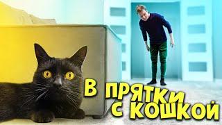 Играем в прятки с кошкой Соней  / SANI vlog