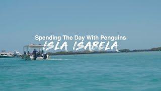 Big Guy Big World spends a unforgettable day at Isla Isabela