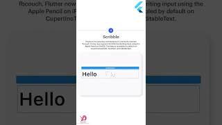 What's new in Flutter 3.3.10