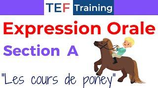 TEF Expression orale section A : "Les cours de poney"