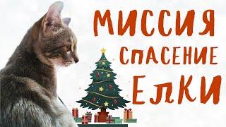 Как уберечь новогоднюю елку от кошки? 100% работает! #кошка #кот #котенок