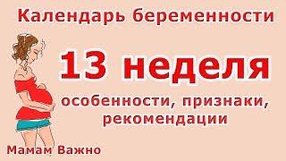 13 неделя беременности: особенности, изменения, рекомендации