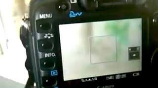 Autofocus in  Movie Mode on the Canon 5D Mark II