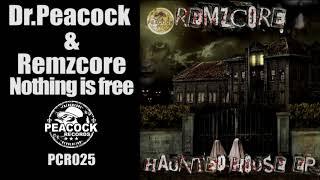 Dr. Peacock & Remzcore - Nothing is free