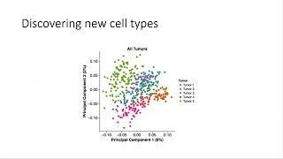 Rafael Irizarry, Probabilistic Gene Expression Signatures for Single Cell RNA seq Data