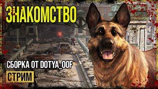 Fallout 4 → СБОРКА ОТ Dotya_Oof ► СТРИМ-ОБЗОР ◄