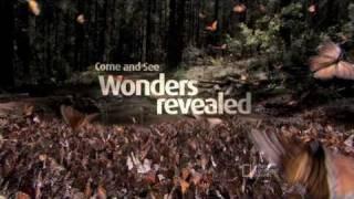 Foxtel Documentaries TV Commercial - The Real Thing