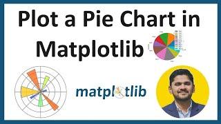 13. How to Plot a Pie Chart in Matplotlib | Python Matplotlib Tutorial for Beginners | Amit Thinks