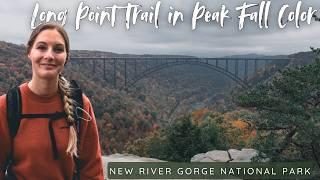 Best Views in New River Gorge National Park with Fall Colors  The Long Point Trail