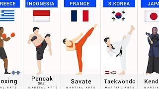 Martial Arts from Different Countries