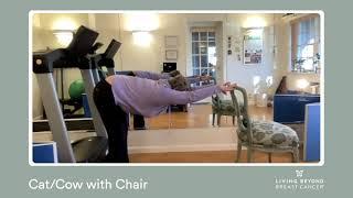 Cat/Cow chair exercise with Cathy Nobil-Dutton, LCSW, CPT