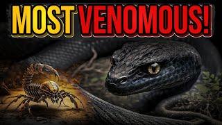 The Most Venomous Snake in the World