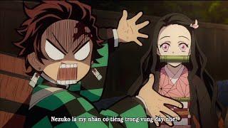 Nezuko being cute for 3 minutes straight || 3' đáng yêu của Nezuko - Kimetsu no Yaiba | Nezuko edit