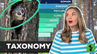 Taxonomy | Classification of Living Organisms