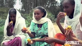 John Kesete - HOYE - Eritrean Traditional Song * VIDEO