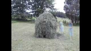 Hay in a Day - Part 2