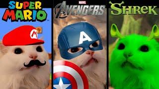 Funny cat sings "Meow" in different universes